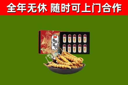 宜阳回收冬虫夏草价格