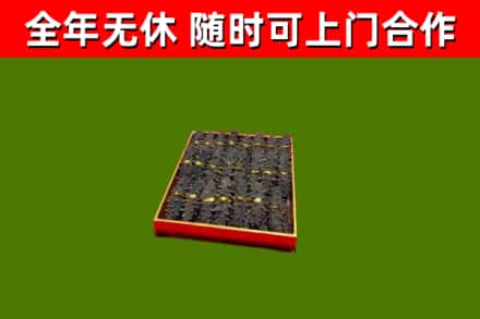 宜阳回收海参